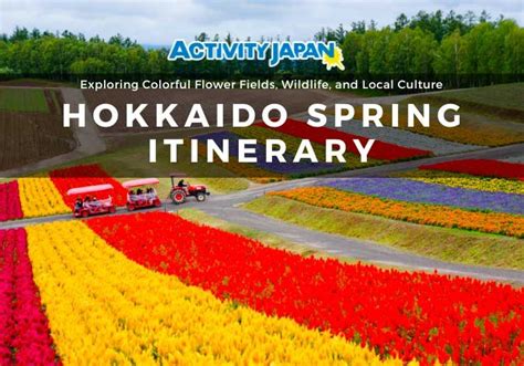 Hokkaido Spring Itinerary Exploring Colorful Flower Fields Wildlife