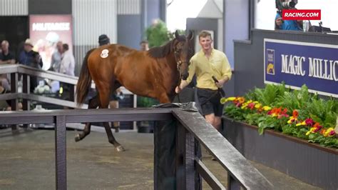 Maher Splashes Big On Too Darn Hot Colt RACING