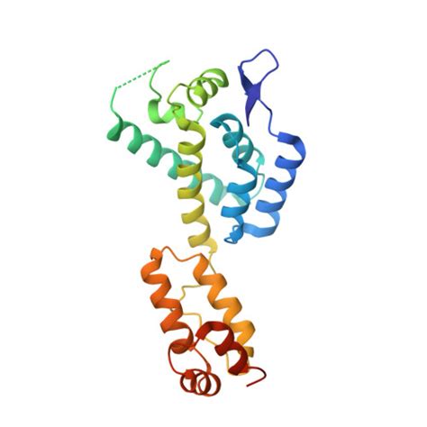 RCSB PDB 8CKX HIV 1 Mature Capsid Hexamer Next To Pentamer Type I From CA IP6 CLPs