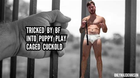 Tricked By Bf Puppy Play Cages Cuckold Pornhub Gay