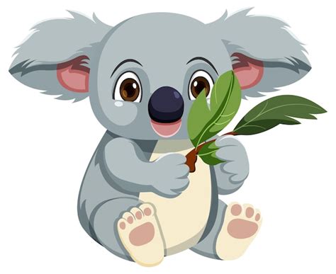 Premium Vector Cute Koala Cartoon Character Isolated