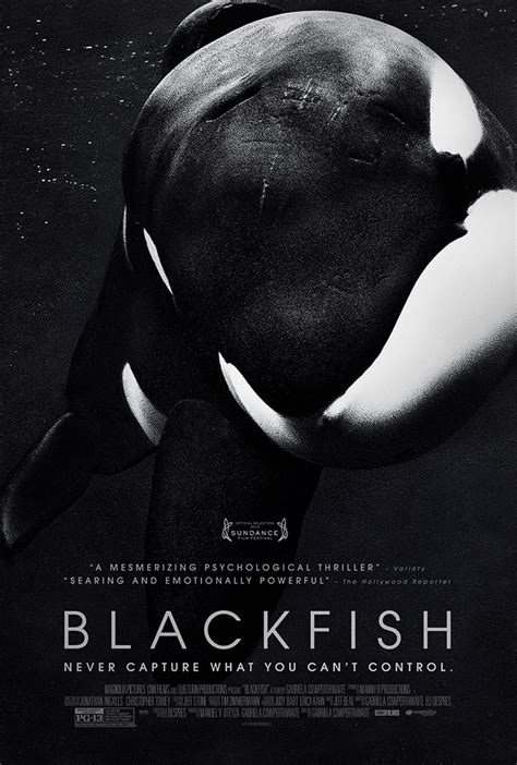 Blackfish The Documentary That Exposes SeaWorld SeaWorld Of Hurt