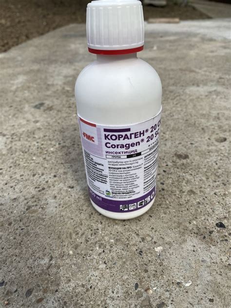 Инсектицид гр. Плевен Дружба 1 • OLX.bg