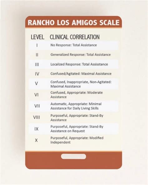 Rancho Los Amigos Glasgow Coma Scale Quick Guide Etsy Canada