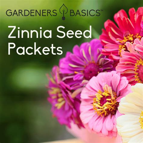 Zinnia Seeds for Planting Add Beauty to Your Garden with These Blooms ...