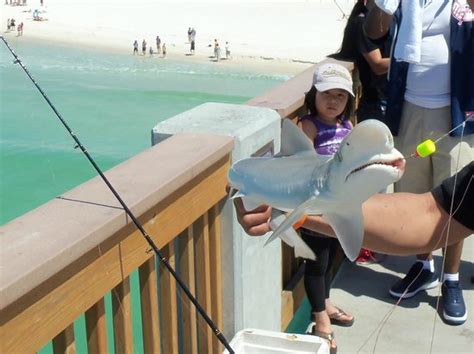 Best Fishing Pier In Panama City Beach - HunterArchdall