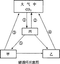37．下图为碳循环示意图请据图回答 1通过上左图过程①碳由无机环境中的 转变成绿色植物中的 2若②越复杂则该生态系统的调节