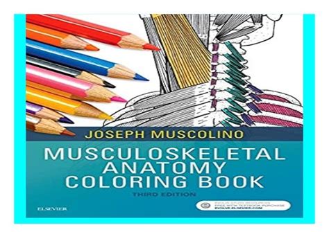 Musculoskeletal Anatomy Coloring Book Book 797