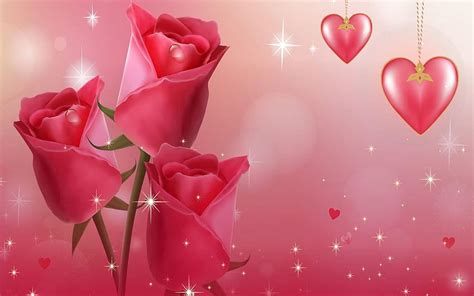 Most Beautiful Love Roses HD Wallpaper Pxfuel