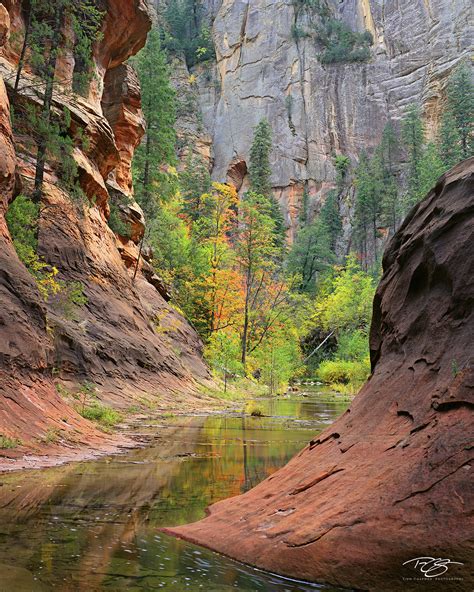 Oak Creek Canyon | Northern Arizona | Timm Chapman Photography