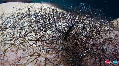 Close Up Of Very Hairy Pussy Hairy Fetish RedTube