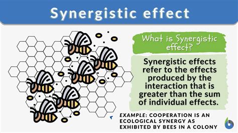 Synergistic Effect Definition And Examples Biology Online Dictionary