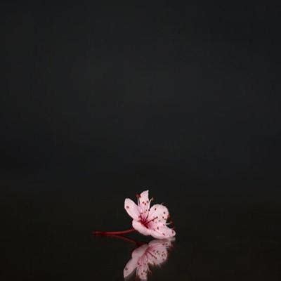 Tweets with replies by maria (@Vcxz____86) | Twitter