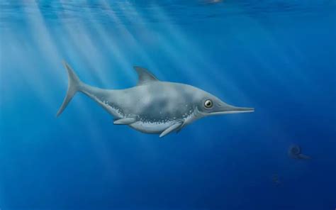 Ichthyosaurus: History, Facts, Size, Habitat, Classification & Much ...