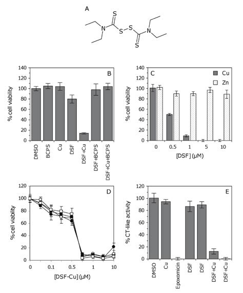 The Effect Of The Dsf Cu Complex On Gsc Proteasomal Activity A The Download Scientific