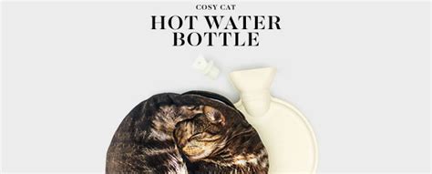 Cat Hot Water Bottle Realistic Warm And Comforting