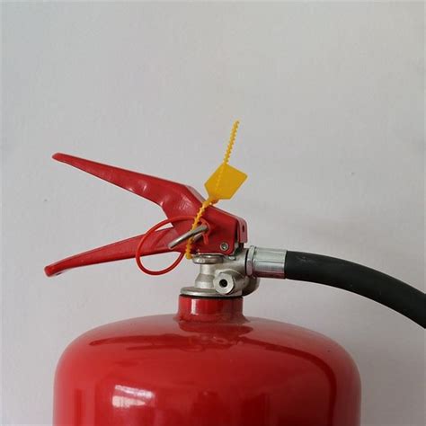 Китайские химические порошковые огнетушители на заказ Производители ...