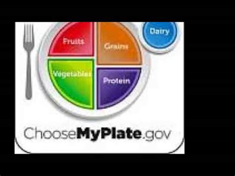 My Plate Food Guide - Lessons - Blendspace