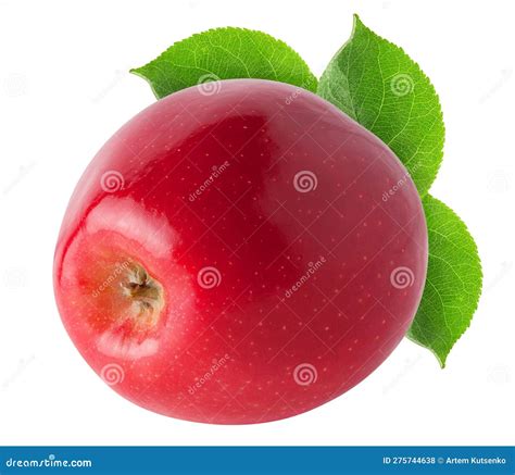 Isolated Beautiful Apple Whole Single Red Pink Apple Fruit With