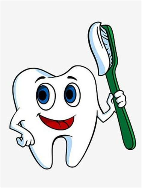 Download High Quality Tooth Clipart Healthy Transparent Png Images