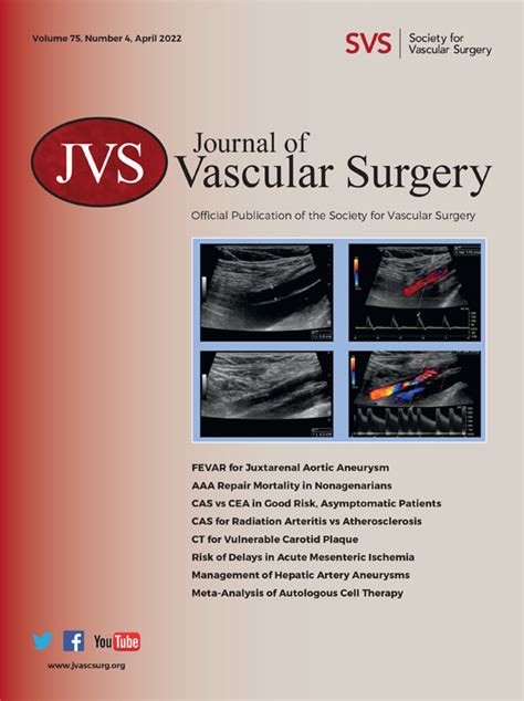 Cover Gallery 2020 Present Journal Of Vascular Surgery