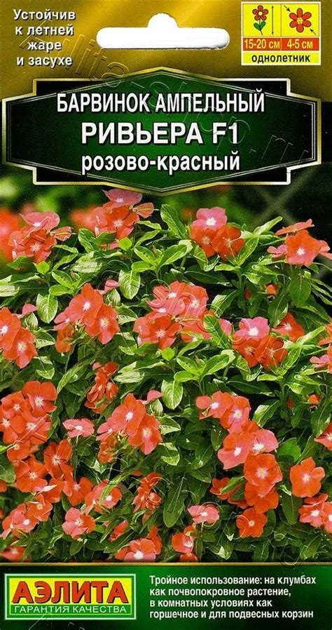 Барвинок Ривьера F1 розово-красный 5 шт. купить оптом в Томске по цене ...