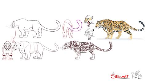 Wild Kratts Cheetah Drawing