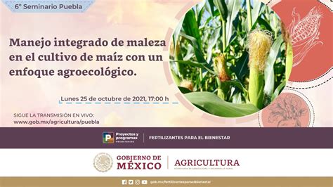 Puebla Seminario Manejo Integrado De Maleza En El Cultivo De Ma Z