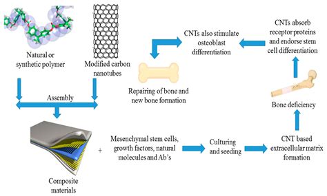 Ijms Free Full Text Recent Progress In Carbon Nanotube Polymer