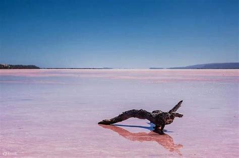Pink Lake Express Day Tour Klook
