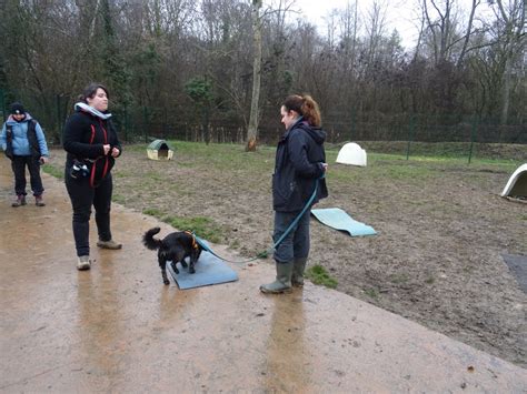 Moniteur en éducation canine 2ème degré en Ile de France les 19-20