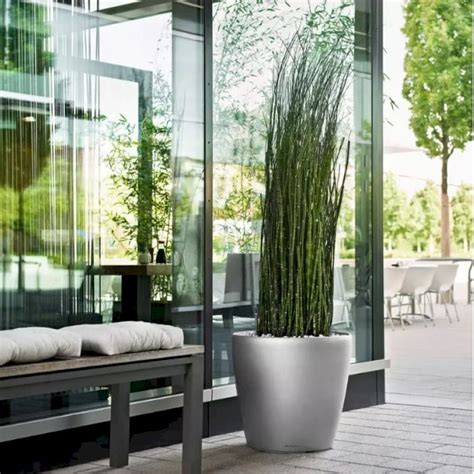 Lechuza Classico Premium - Model 60 - Havekrukker - Plantetorvet.dk