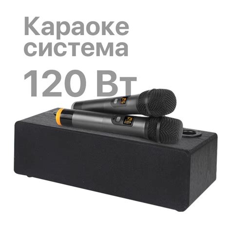 Караоке система для дома с двумя микрофонами 120 Вт, черный - купить с ...