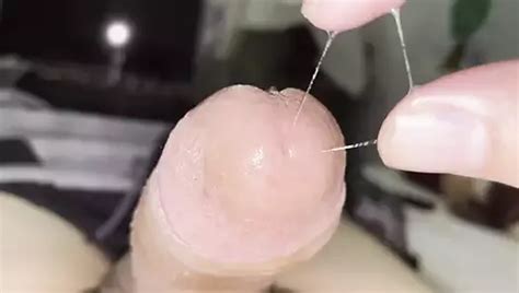 Pija Blanca Gay Porn XHamster