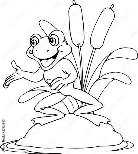 Frog Stock Vector Adobe Stock