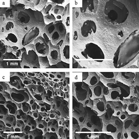 A Photograph Of The Organic Foam Of ‘sucrose Polymer Ac Particle Download Scientific Diagram