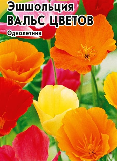 Купить семена эшшольции в Москве - доставка почтой или курьером