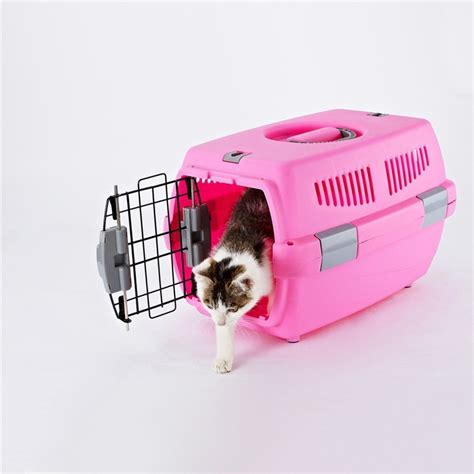 Кот в переноске - 60 фото