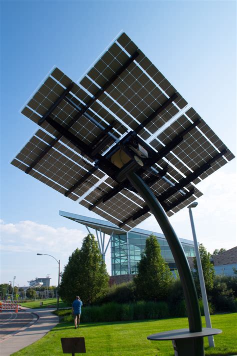 CSU jumps to No. 4 on Sierra magazine’s Cool Schools green ranking