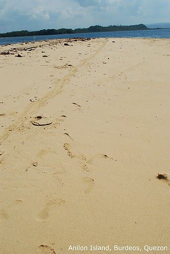 Polillo Island Ladyoutdoors Trip To Polillo Part 4