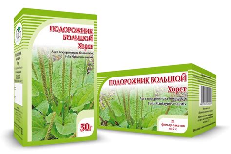 Компания ХОРСТ - ПОДОРОЖНИК большой