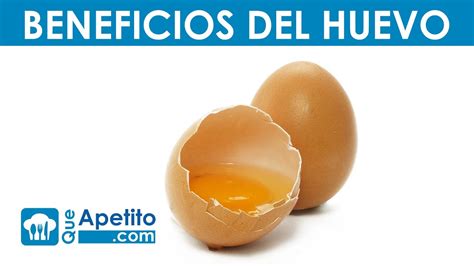 8 Propiedades Y Beneficios Del Huevo Queapetito Youtube