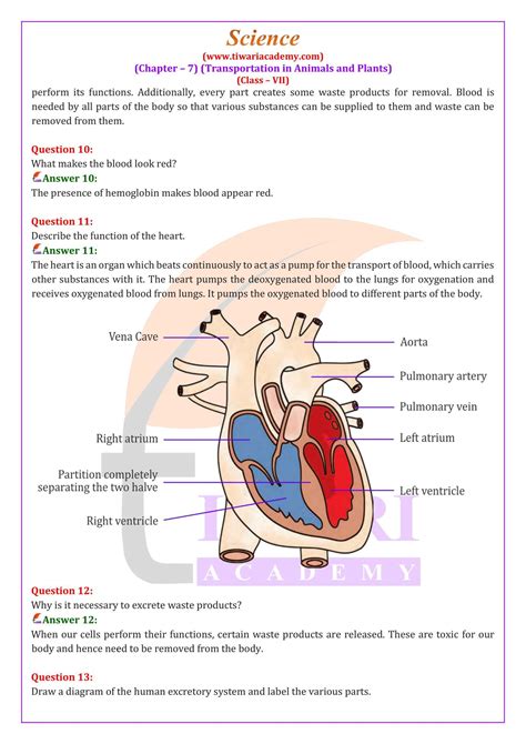 NCERT Solutions for Class 7 Science Chapter 7 Transportation in Animal