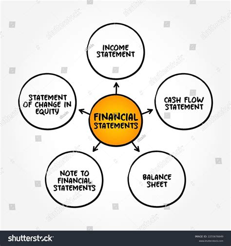 Types Financial Statements Written Records That Stock Vector Royalty