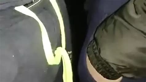 V Deos De Cruising Al Aire Libre Gay Gratis Xhamster