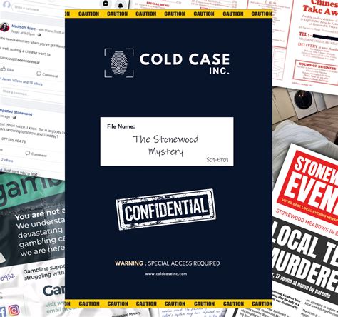 Interactive Murder Mystery Games to Play at Home | Cold Case Inc