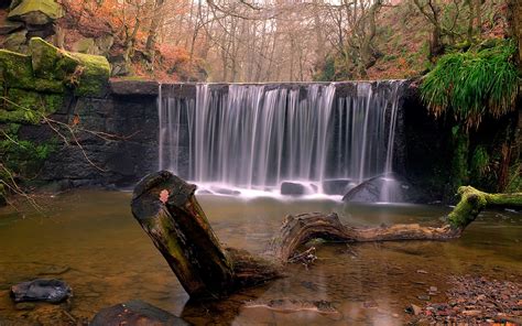 Landscape Motion Mossy Rock Growth Flowing Rapids Long Exposure