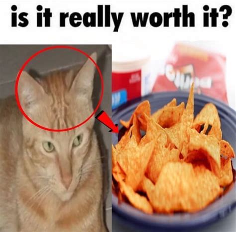 Is It Really Worth It Is It Really Worth It Know Your Meme