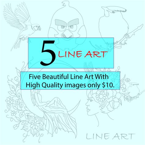 Five Beautiful Line Art High Quality Images Only 10 Masterbundles