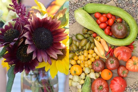 10 Heat Loving Vegetables And Flowers To Grow From Seed Freckled